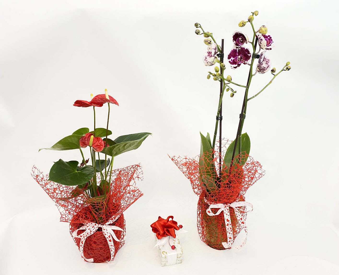 Фото доставки